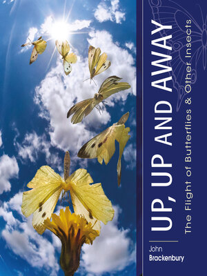 cover image of Up, Up and Away